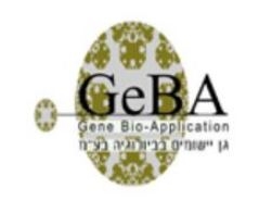 Geba