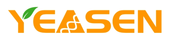 Yeasen Biotech