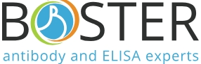 Boster Bio