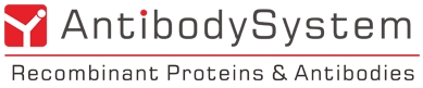 Antibody System
