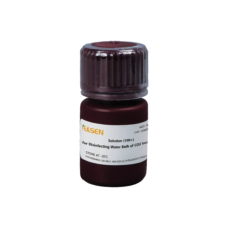[YEASEN] MycGuard™-1 Solution (100×), for Disinfecting Water Bath of CO2 Incubator
