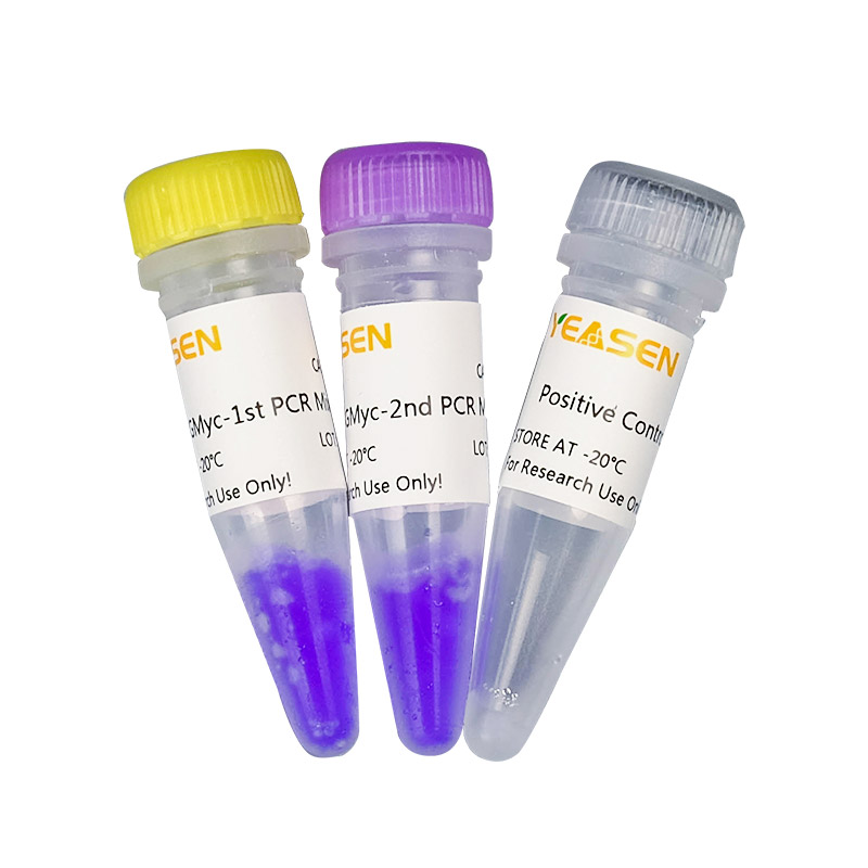 [YEASEN] GMyc-PCR Mycoplasma Test Kit