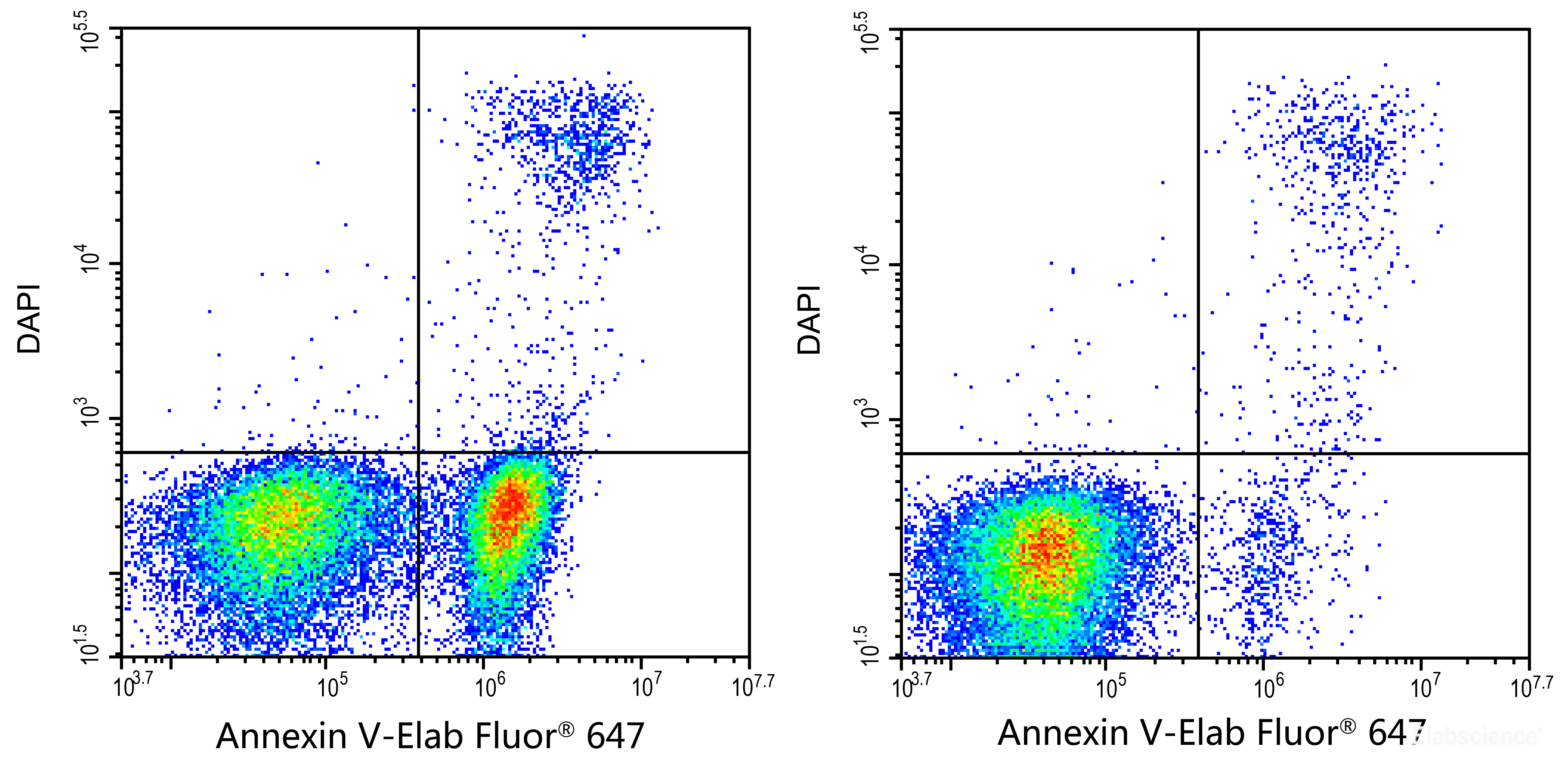 [Elabscience] Annexin V-Elab Fluor® 647 Azide-Free Lyophilized Powder