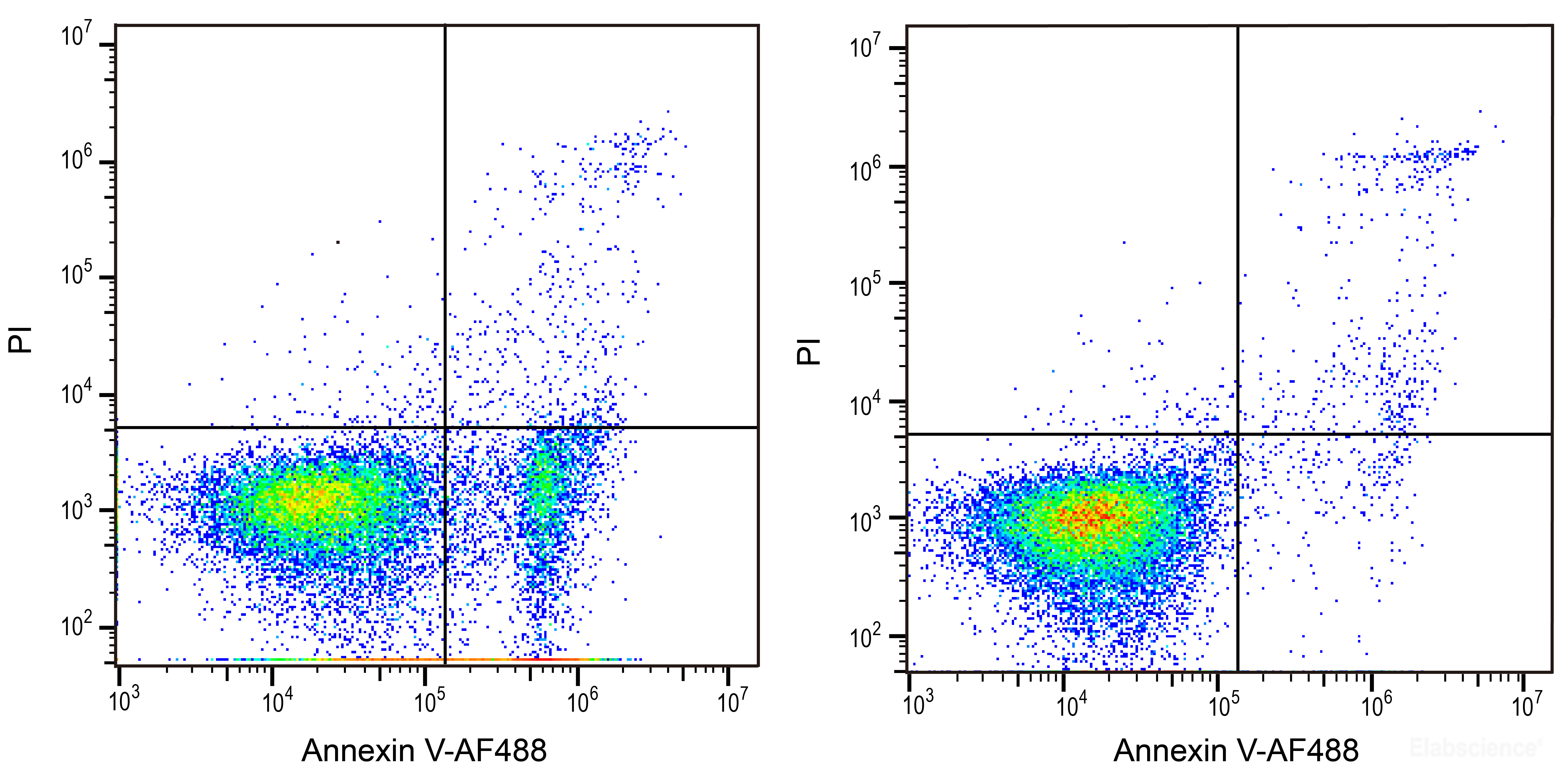[Elabscience] Annexin V-Elab Fluor® 488/PI Apoptosis Kit