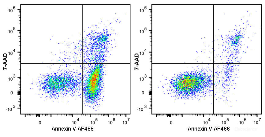 [Elabscience] Annexin V-Elab Fluor® 488/7-AAD Apoptosis Kit