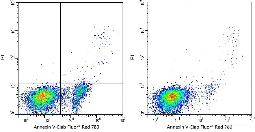 [Elabscience] Annexin V-Elab Fluor® Red 780/PI Apoptosis Kit