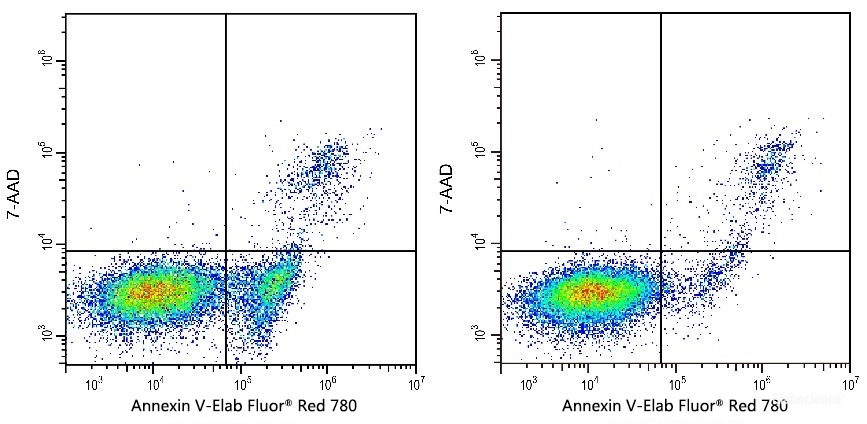 [Elabscience] Annexin V-Elab Fluor® Red 780/7-AAD Apoptosis Kit