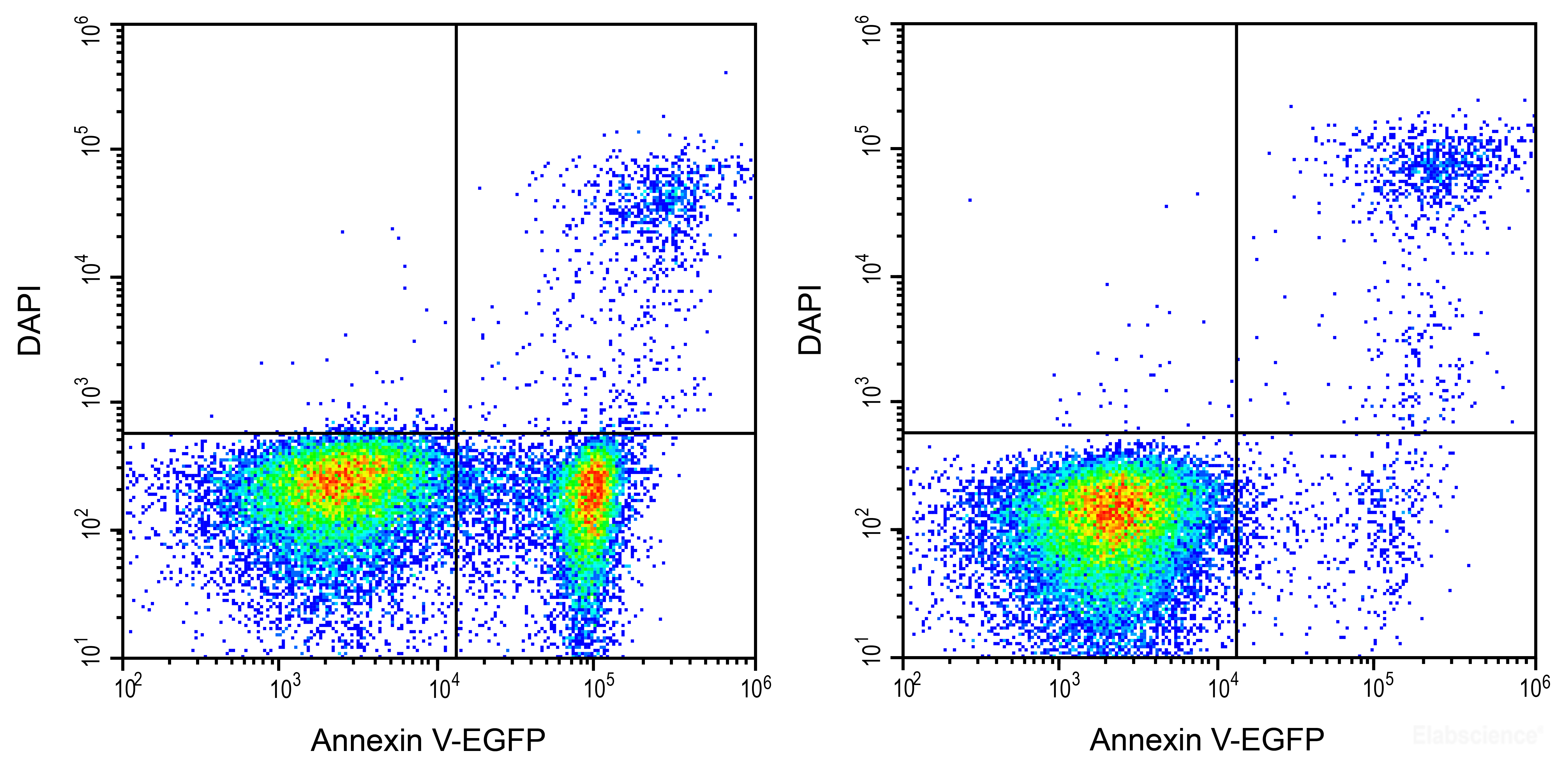 [Elabscience] Annexin V-EGFP/DAPI Apoptosis Kit