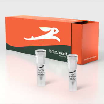 [Biotechrabbit] 2X YourTaq™ Hot-Start PCR Master Mix, lyophilized