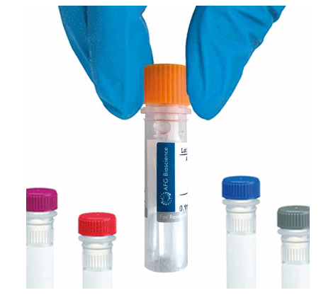 [AFG Scientific] UBA5 Antibody, HRP conjugated