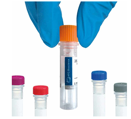 [AFG Scientific] CDH1 Monoclonal Antibody