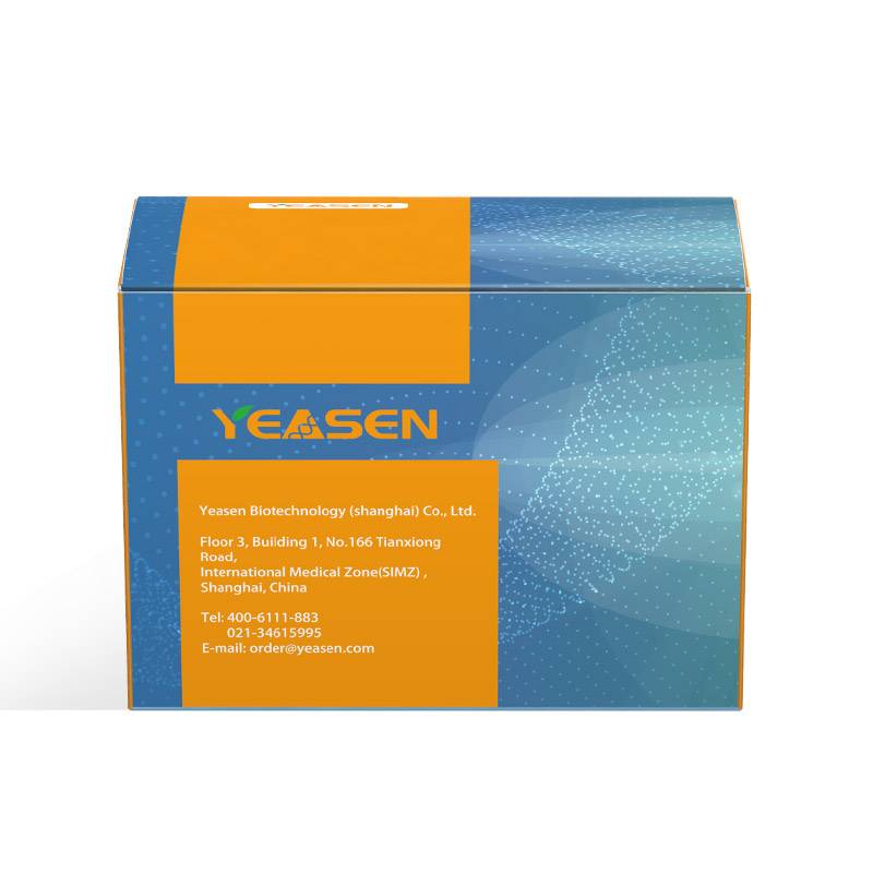 [YEASEN] Monkeypox Virus Real Time qPCR Kit (UDG plus)
