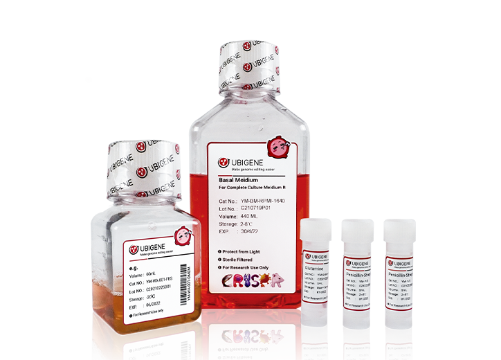 [UBIGENE] Cell Monoclonal Culture Medium