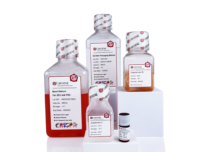 [UBIGENE] EZ-Stem™ Cell Culture Medium