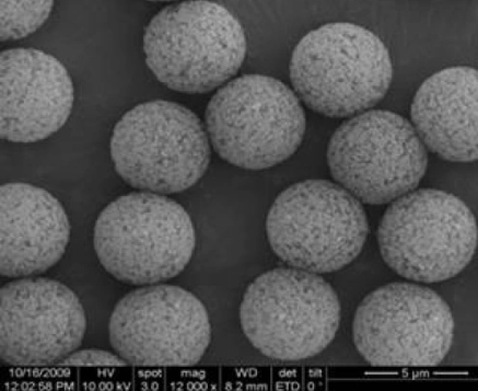 [Nanomicro Technology] NMab Pro Protein A Affinity Resin