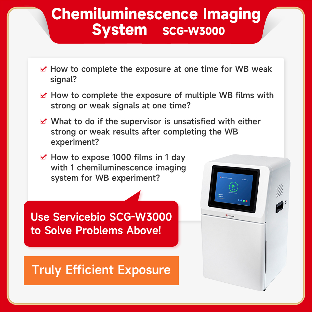 [Servicebio] Chemiluminescence Imaging System