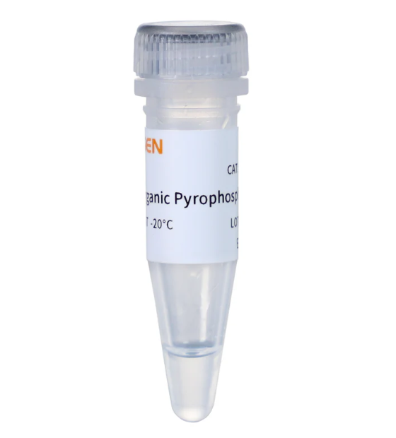 [YEASEN] Pyrophosphatase, Inorganic GMP-grade (0.1 U/μL)