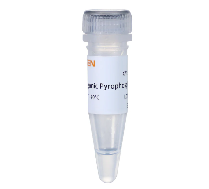 [YEASEN] Pyrophosphatase, Inorganic GMP-grade (1 U/μL)