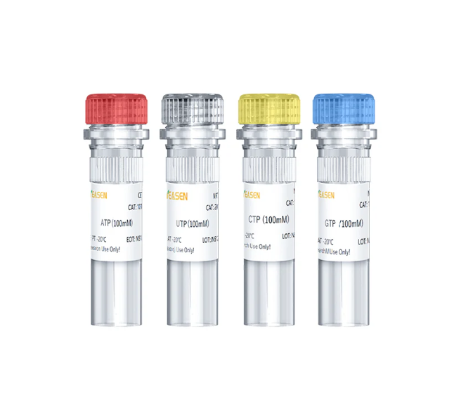 [YEASEN] NTP Set Solution (ATP, CTP, UTP, GTP, 100 mM each)