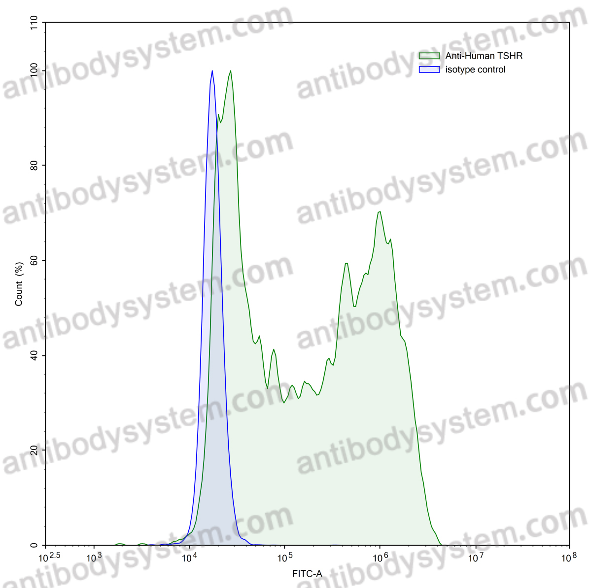 [Antibodysystem] Anti-Human TSHR Antibody (SAA0401)