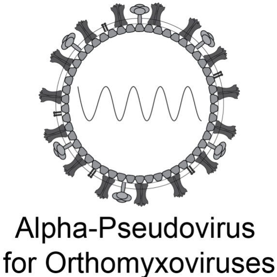[Virongy] Influenza A Pseudoviral Neutralization Assay Kit