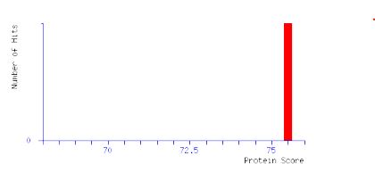 [Rekom Biotech] Recombinant allergen Can f 5 for Canis familiaris (Dog urine)