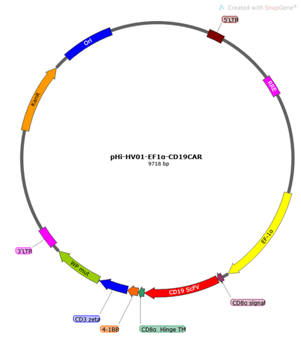 [Hillgene] CD-19 CAR-NK Premade Lentivirus