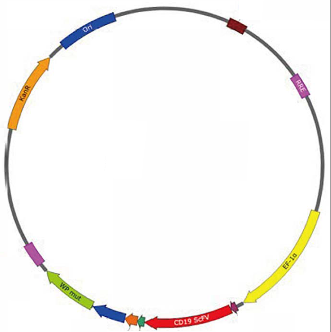 [Hillgene] HiPlas™ LentiHelper Plasmids for T