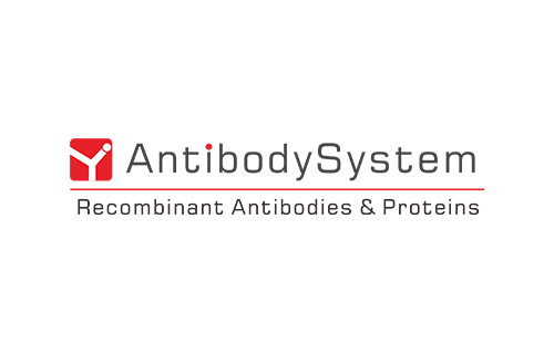 [Antibodysystem] Research Grade Anti-HRSV F/F protein Antibody (ADI-14448)