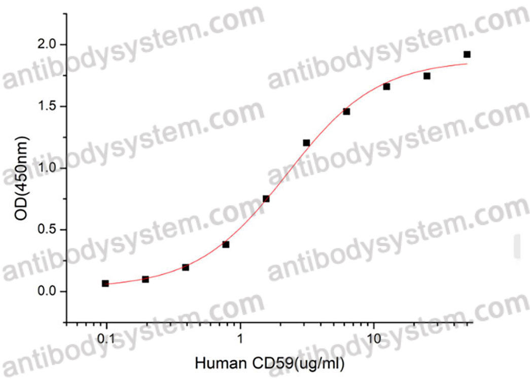 [Antibodysystem] Recombinant Human CD59 Protein, C-10*His (Active)