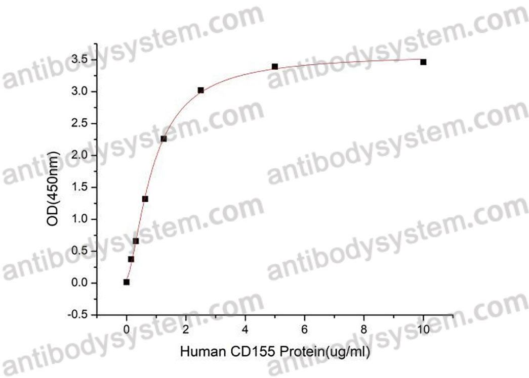 [Antibodysystem] Recombinant Human CD155/PVR Protein, C-hFc-His (Active)