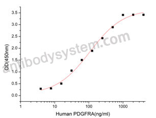 [Antibodysystem] Recombinant Human CD140a/PDGFRA Protein, C-His (Active)