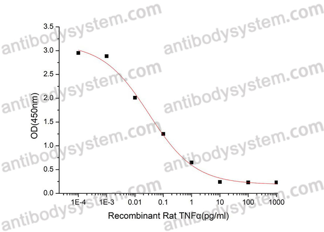 [Antibodysystem] Recombinant Rat TNFa/TNF-alpha Protein, C-His (Active)