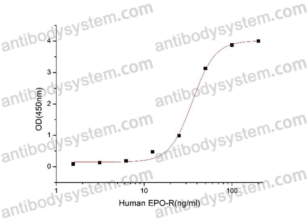 [Antibodysystem] Recombinant Human EPOR Protein, C-hFc-His (Active)