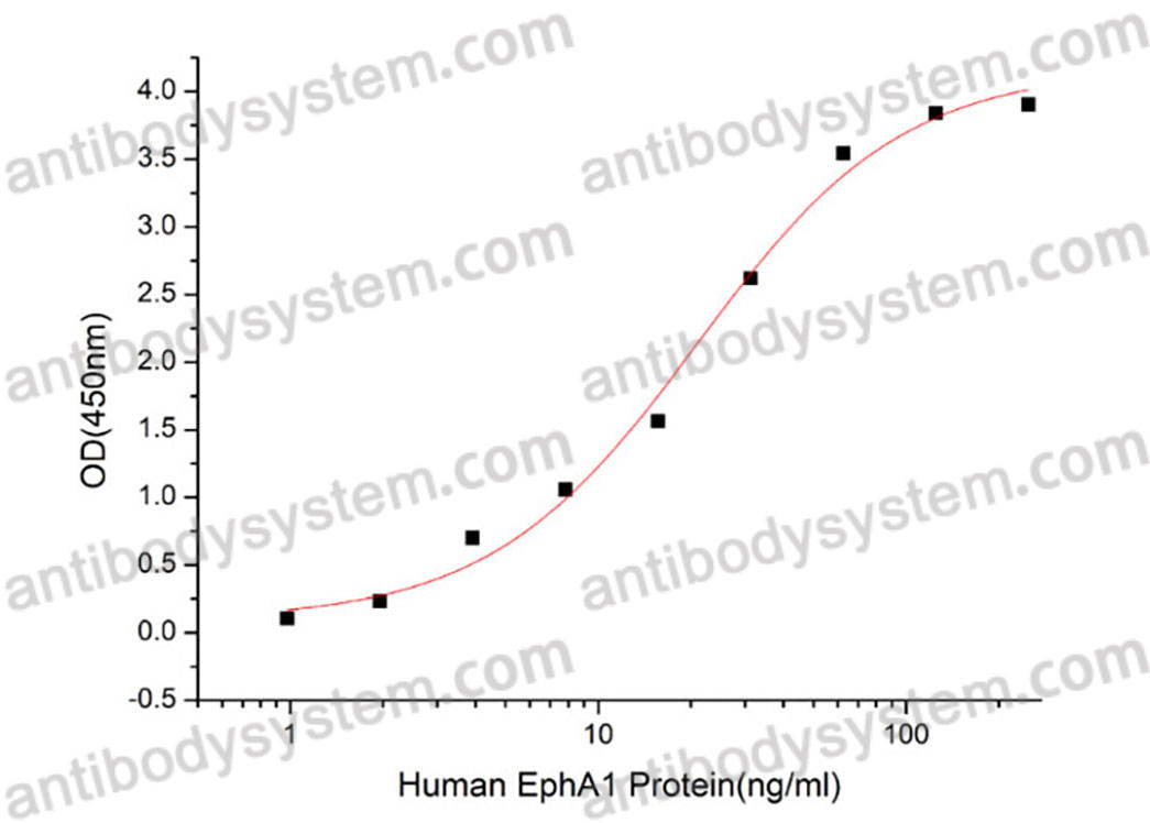 [Antibodysystem] Recombinant Human EFNA1 Protein, C-His (Active)