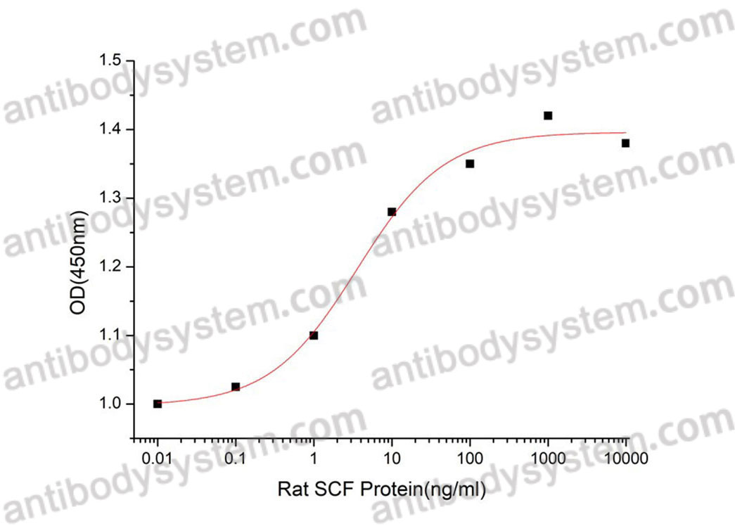 [Antibodysystem] Recombinant Rat KITLG/SCF Protein, C-His (Active)