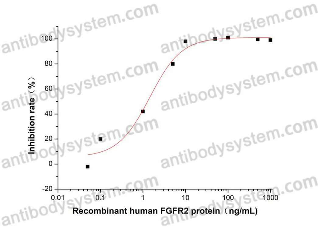[Antibodysystem] Recombinant Human CD332/FGFR2 Protein, C-hFc-His (Active)