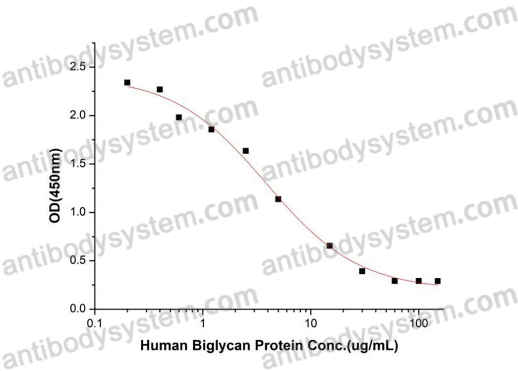 [Antibodysystem] Recombinant Human BGN Protein, C-His (Active)