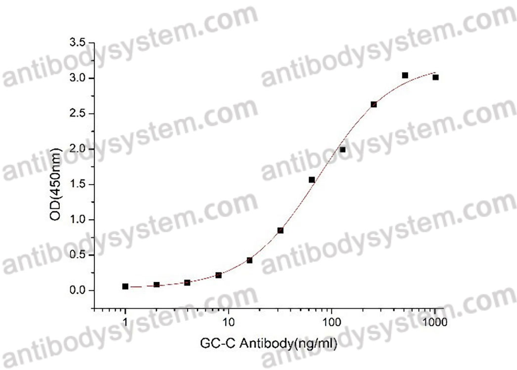 [Antibodysystem] Recombinant Human GUCY2C/GCC Protein, C-His (Active)