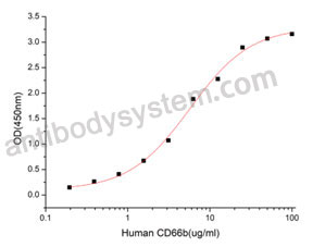 [Antibodysysytem] Recombinant Human CD66b/CEACAM8 Protein, C-His (Active)