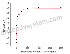 [Antibodysystem] Recombinant Human CD80/B7-1 Protein, C-His (Active)