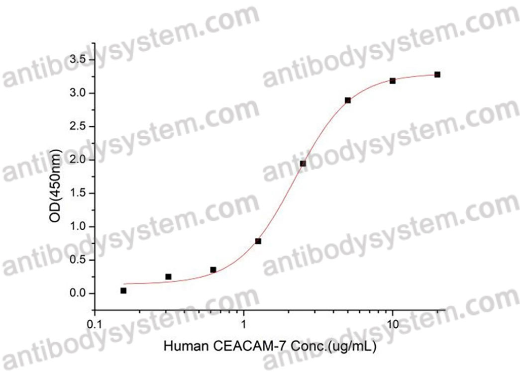 [Antibodysystem] Recombinant Human CD66d/CEACAM3 Protein, C-His (Active)