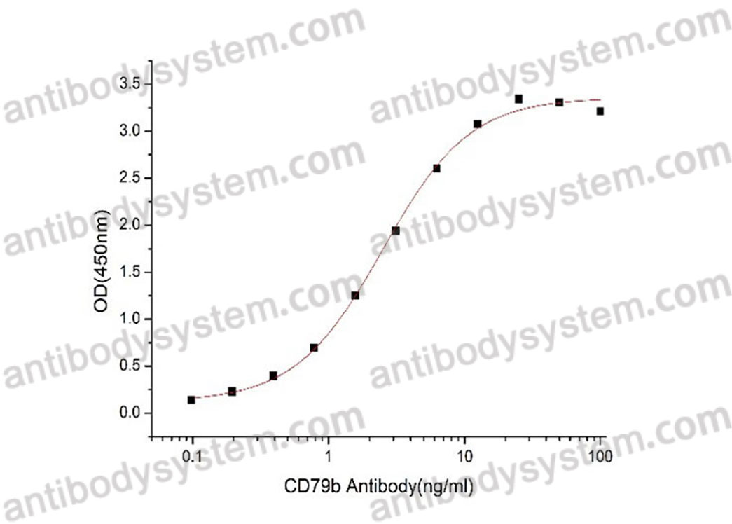 [Antibodysystem] Recombinant Human CD79β/CD79B Protein, C-His (Active)
