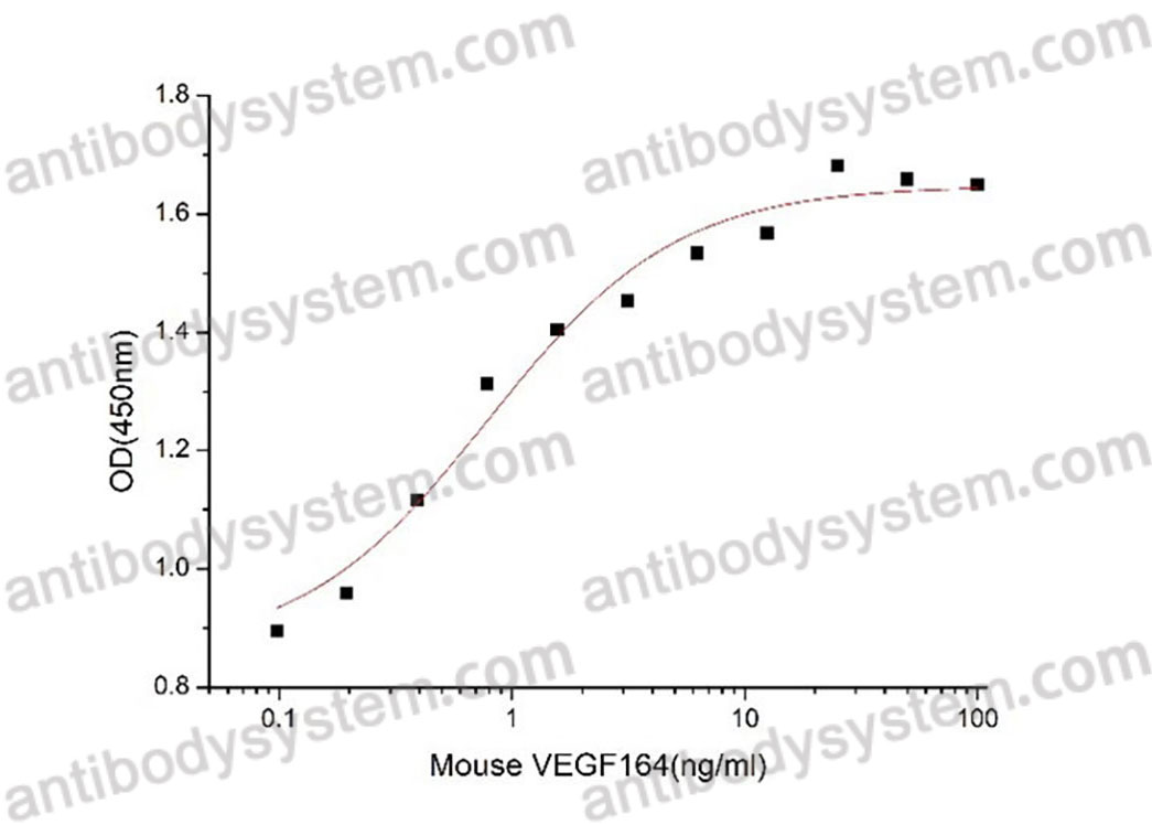 [Antibodysystem] Recombinant Mouse VEGFA Protein, N-His (Active)