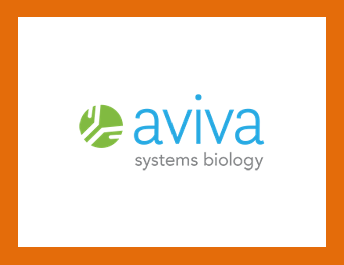[Aviva] ELISA Kit 인기 제품 리스트