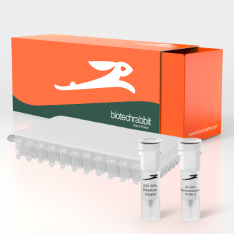 [Biotechrabbit] 2X RT-RPA basic Master Mix, lyophilized