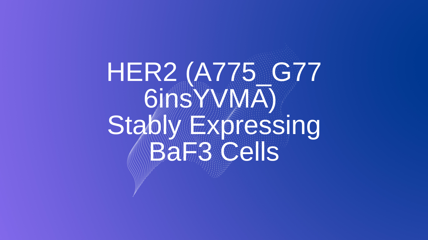 [Signosis] HER2 (A775_G776insYVMA) BaF3 Stable Cell Line