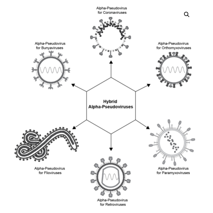 [Virongy] Pseudoviral Neutralization Kits