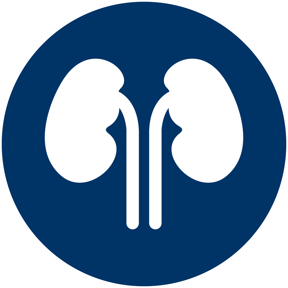 [Hytest] Cystatin C, antibody