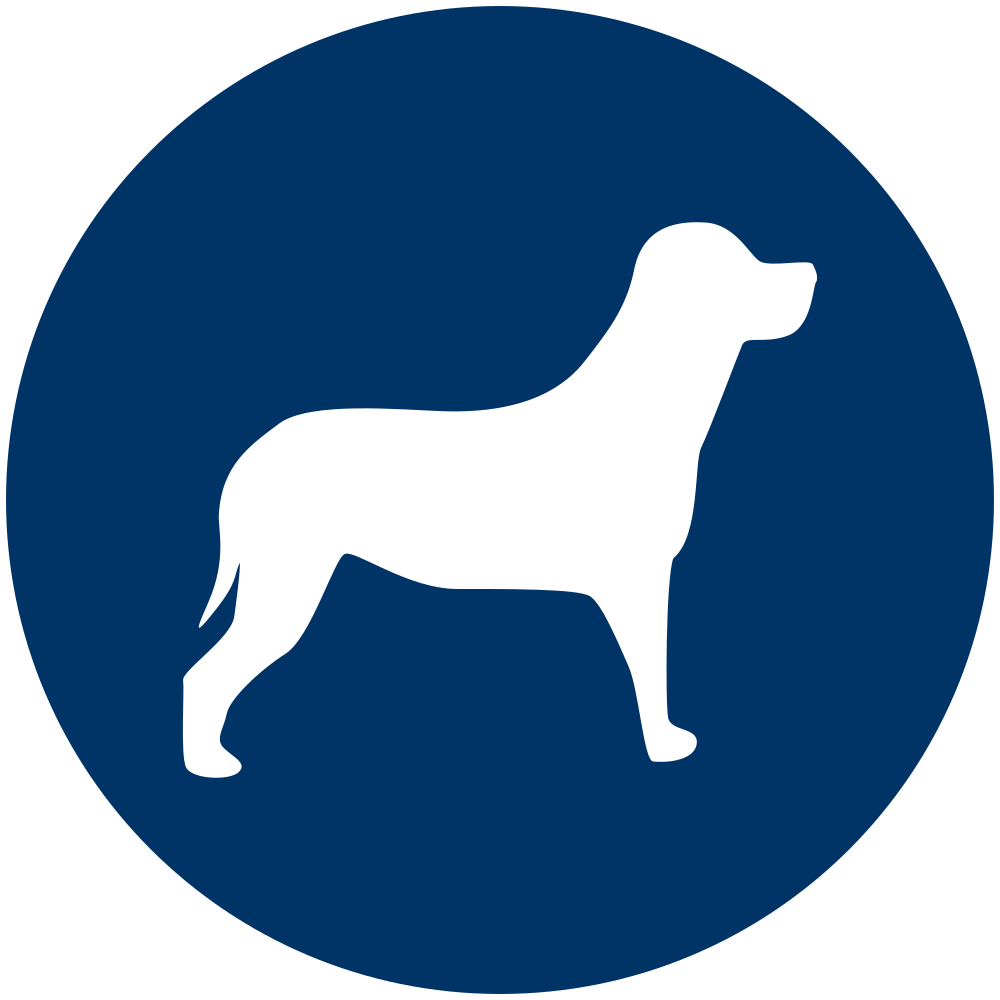 [Hytest] Human retinol-binding protein 4 (RBP4) antibody